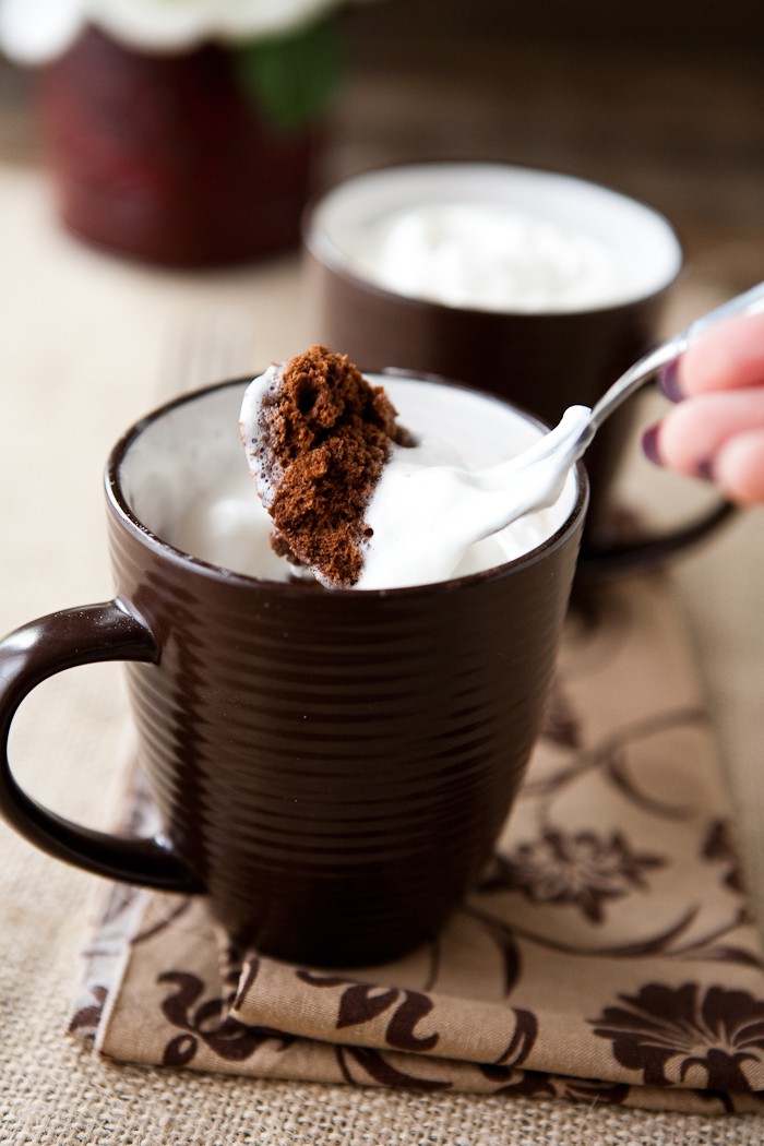 Eclectic Recipes 100 Calorie 2 Minute Chocolate Mug Cake | Eclectic Recipes