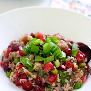 Wild Rice Salad with Cranberries