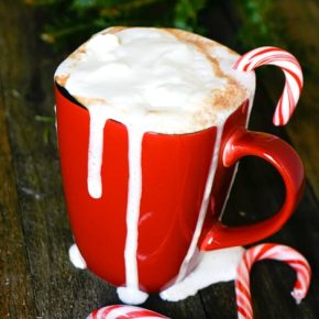 Santa's favorite Hot Chocolate: Peppermint