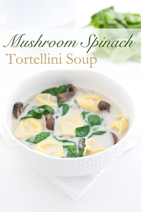 tortellini  soup