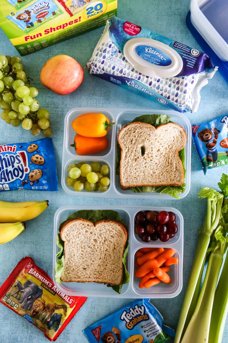 school lunch ideas with fruit snacks and cookies